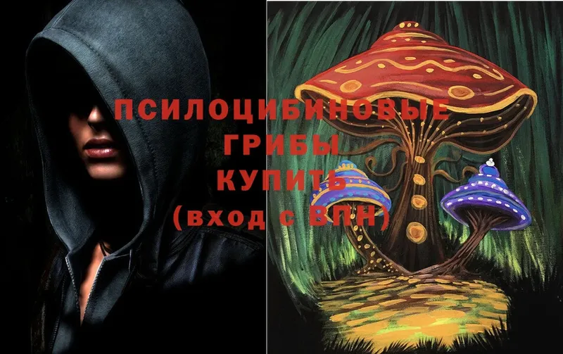 Псилоцибиновые грибы MAGIC MUSHROOMS  наркотики  MEGA как зайти  Курганинск 